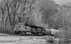 DHP_4937.jpg