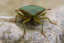 DSC_4920.jpg