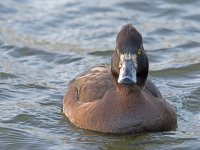 DSC_1592.jpg