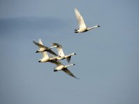 DSCN9301.jpg