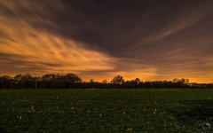_DSC2052.jpg