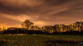 _DSC2054.jpg
