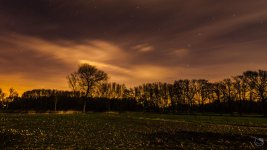 _DSC2055.jpg