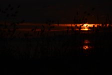 DSC_6821.jpg