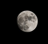 DSC_0079.jpg