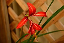 DSC_6866.jpg