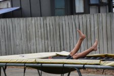 DSC_6782.jpg