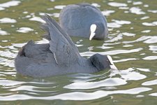 DSC_1713.jpg