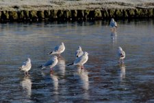 DSC_0122.jpg