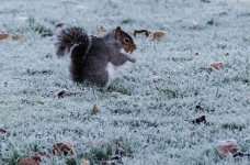DSC_0102.jpg