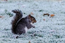 DSC_0104.jpg