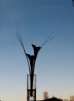 DSC_0152-2.jpg