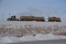 DSC_7988.jpg