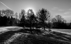 DSC_0109.jpg
