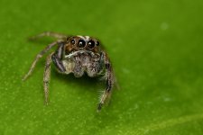 DSC_7653.jpg