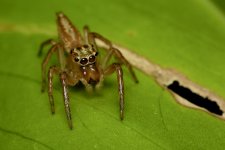 DSC_7666.jpg
