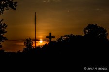 DSC_9891.jpg
