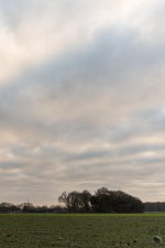 _DSC2161.jpg