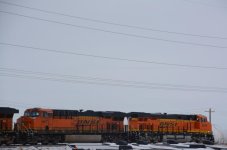 DSC_8013.jpg
