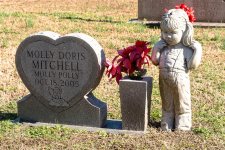 Molly Polly.jpg