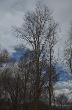 _AAA4212 - Version 3 - 2015-01-04 at 15-44-09.jpg
