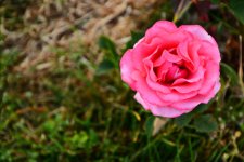 DSC_6828.jpg