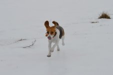DSC_0155.jpg