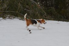 DSC_0202.jpg