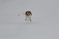 DSC_0267.jpg