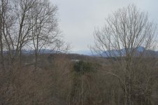 DSC_0176.jpg