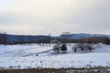 DSC_0343.jpg
