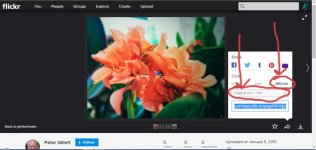 flickr.jpg