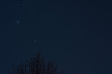 DSC_0628.5.jpg