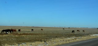 DSC_8044.jpg