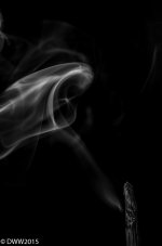 BW Haze (1 of 1).jpg
