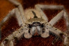 DSC_7670.jpg