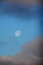 DSC_8057.jpg