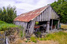 forgotten shed.jpg
