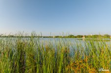 silverlake-pattaya-1.jpg