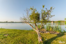 silverlake-pattaya-5.jpg