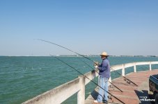 fishing-3.jpg