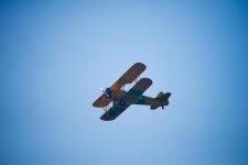 TAMRON 150-600MM-17.jpg
