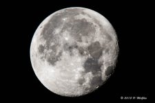D71_2416.jpg