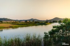 silverlake-1.jpg
