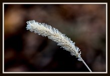 DSC_7662.jpg
