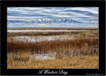 DSC_2585.jpg