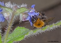dsc_0266.jpg