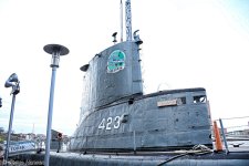 DSC_5291.jpg
