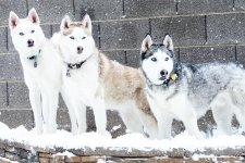 DSC_3117_small.jpg