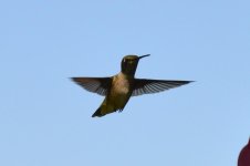 Aerial Acrobatics 01.jpg